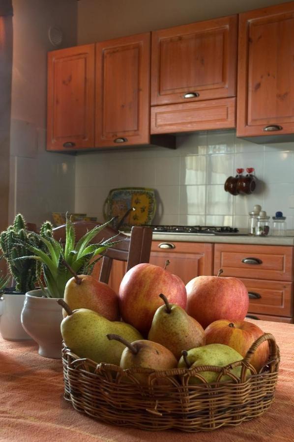 Agriturismo La Burraia Vicino A San Gimignano Gambassi Terme Eksteriør billede